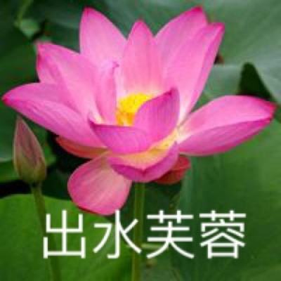 pool online台球对战下载
