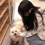 九品做宰相内购破解版下载